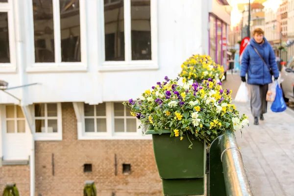 Folk på broen, dekorert med blomster i den nederlandske byen G. – stockfoto