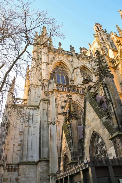 Catedral en la ciudad holandesa de Den Bosch. Países Bajos —  Fotos de Stock