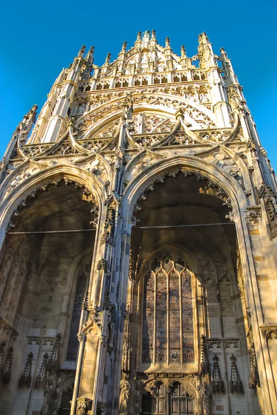 Katedralen i den nederländska staden den Bosch. Nederländerna — Stockfoto