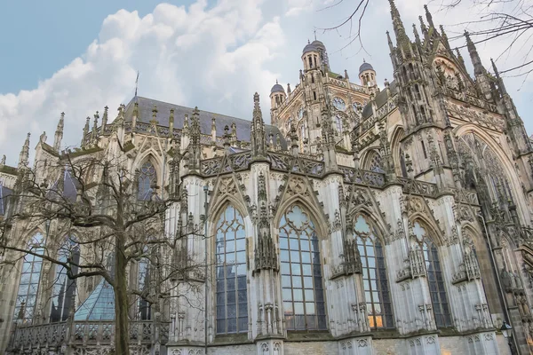 Cathedral in the Dutch city of Den Bosch. Netherlands — Stock Photo, Image