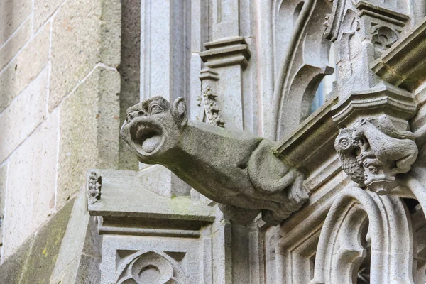 Catedral na cidade holandesa de Den Bosch. Países Baixos — Fotografia de Stock