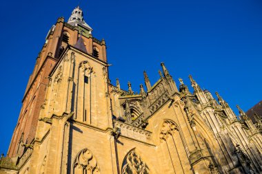 Katedral içinde Hollandalı şehir, Den Bosch. Hollanda