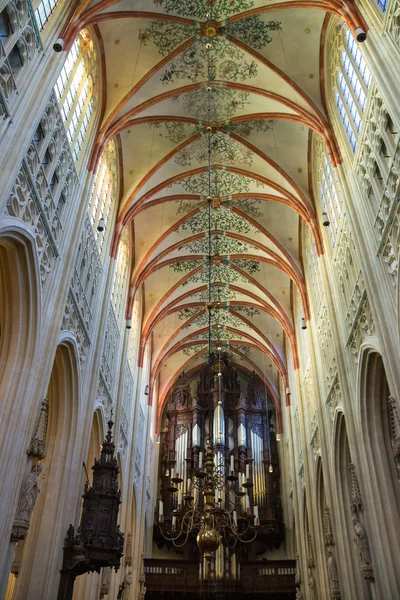 Renkli katedralde Hollandalı Den Bosch şehir tavan — Stok fotoğraf