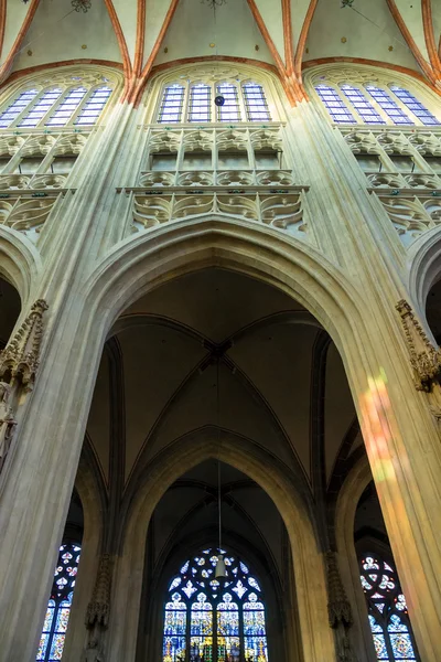 Teto em arco na catedral a cidade holandesa de Den Bosch — Fotografia de Stock