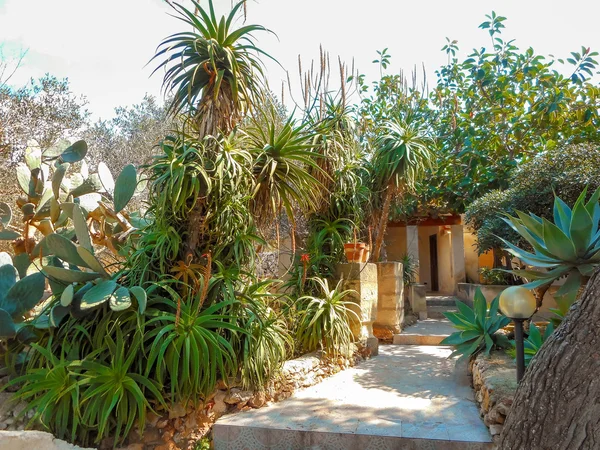 Cortile casale con giardino in Sicilia — Foto Stock