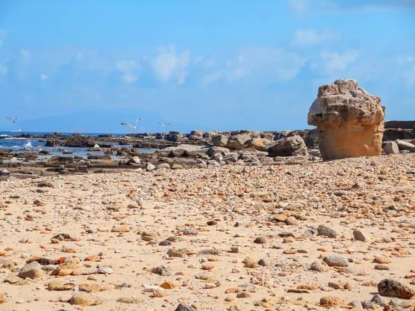 Una vista de una costa rocosa de una isla de Sicilia —  Fotos de Stock