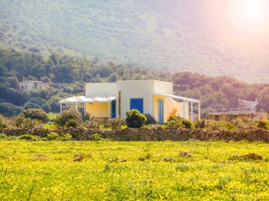 Adada bahar çayır çiçek açmış. Favignana, Sicilya