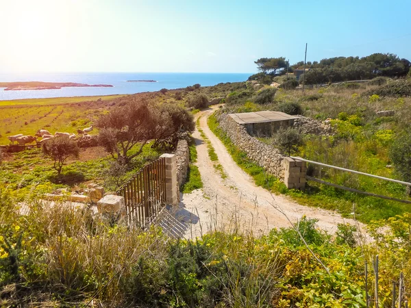 Camino rural en la isla siciliana de Favignana — Foto de Stock