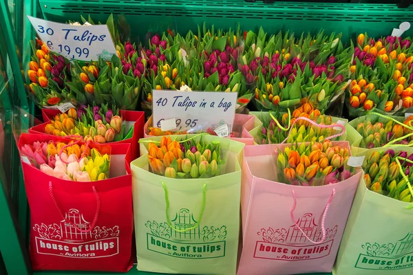 Säljer färgglada holländska tulpaner i påsar, Nederländerna — Stockfoto