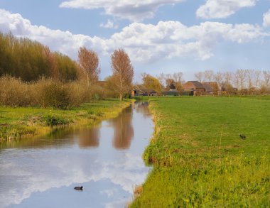 Yeşil çayırlar ve canal Hollanda grupta yanında.