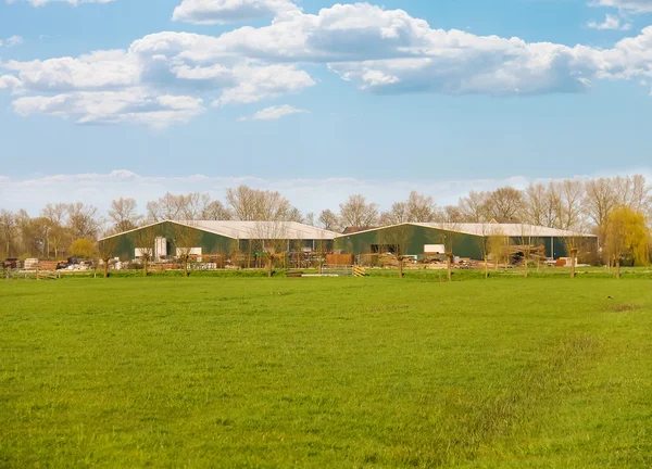 Pré vert près d'une ferme aux Pays-Bas . — Photo