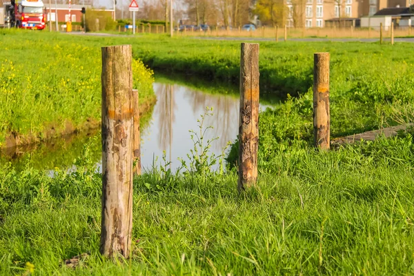 Green meadows and canal at sunset in the Netherlands — Stock fotografie