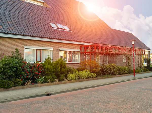 Цветущая клумба рядом с домом весной голландского города — стоковое фото