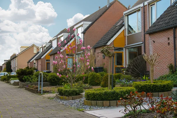 Picturesque houses on a city street in Meerkerk, Netherlands — Stock Photo, Image