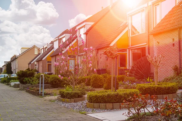 Picturesque houses on a city street in Meerkerk, Netherlands — Stock Photo, Image