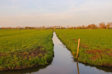 Yeşil çayırlar ve canal Hollanda grupta yanında.