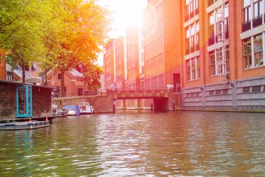 Amsterdam'da güneşli bir günde kanal