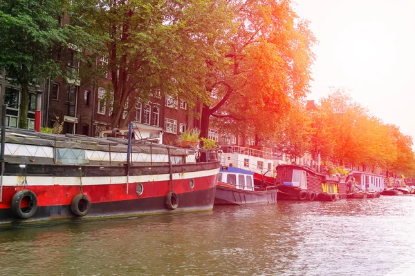 Amsterdam'da bir kanal gemilerde. Hollanda