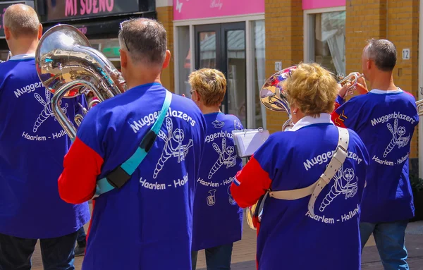 Street performance of musical group De Muggenblazers in Zandvoor — Stock Photo, Image