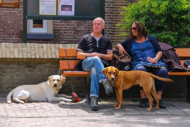 Zandvoort içinde onların köpekleri ile bankta oturan kadın ve erkek,