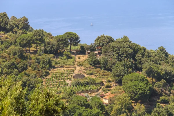 Kusten av Tyrrenska havet på ön Elba, Italien. — Stockfoto
