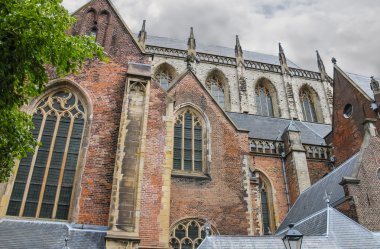 Cephe tarihi merkezinde Grote Kerk (Sint-Bavokerk)