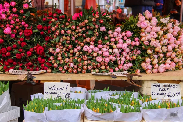 Negozio di fiori di strada con mazzi di tulipani colorati sul Grote Ma — Foto Stock