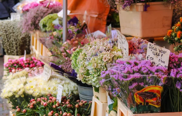 Negozio di fiori di strada con mazzi di fiori colorati sul Grote Markt in — Foto Stock