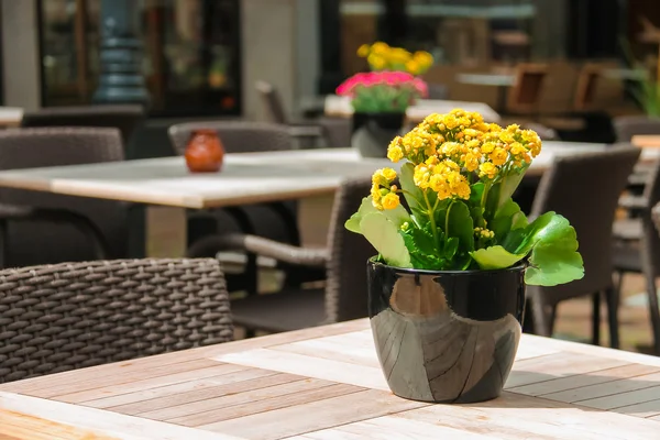 Pentole con fiori decorativi sui tavoli del caffè all'aperto — Foto Stock