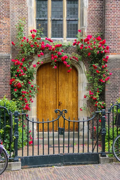 Entrance door of the Grote Kerk (Sint-Bavokerk) in the  historic — Stock Photo, Image