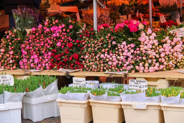 Loja de flores de rua com buquês de tulipas coloridas — Fotografia de Stock