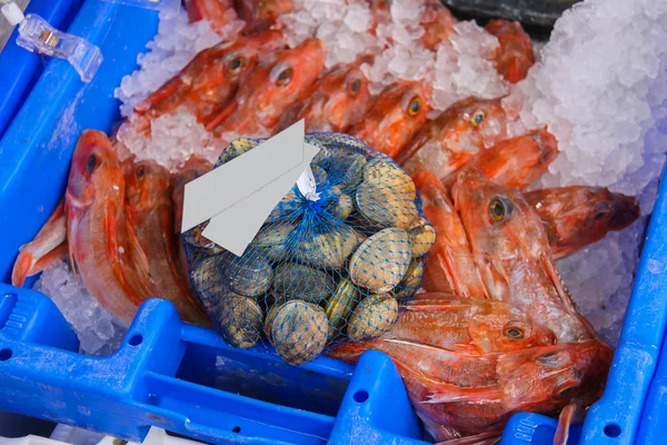 Penjualan makanan laut segar di pasar. Belanda — Stok Foto