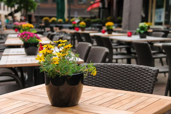 Pentole con fiori decorativi sui tavoli di strada all'aperto caf — Foto Stock