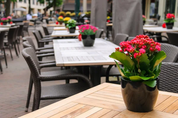 Ollas con flores decorativas en las mesas de café de la calle al aire libre — Foto de Stock