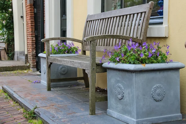 Traditionele Nederlandse houten bankje omgeven door decoratieve planten o — Stockfoto