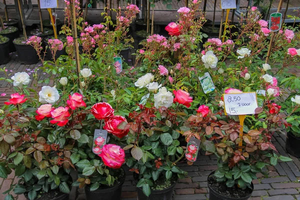 街花店与五颜六色的玫瑰花束在哈莱姆, — 图库照片