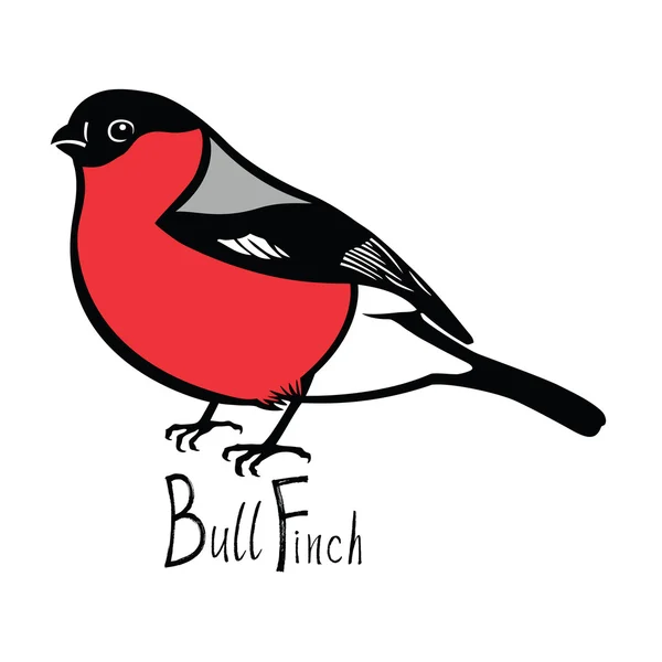 Колекція птахів Bullfinch Кольоровий вектор — стоковий вектор