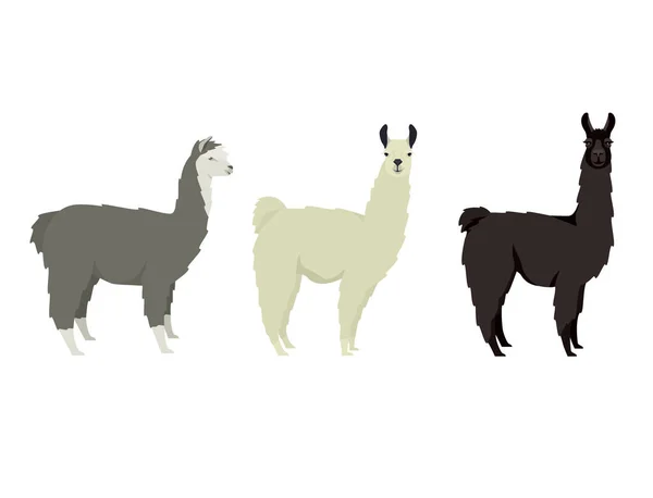 Llama Lama Glama Illustrations Vectorielles Plates Ensemble Objets Isolés — Image vectorielle