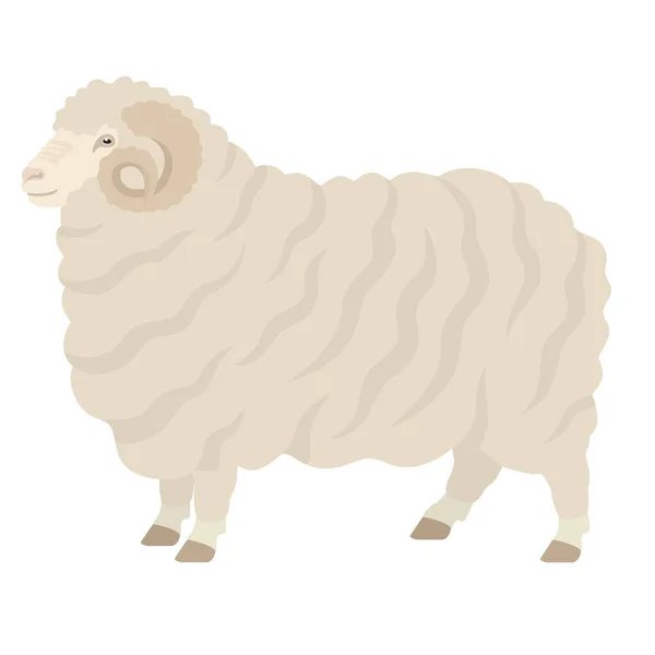 Merino Oveja Ram Animales Granja Ilustración Vectorial Plana Conjunto Objetos Vector de stock