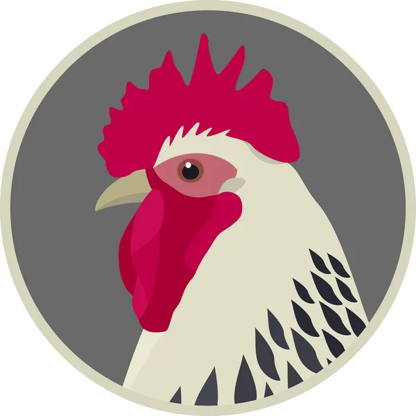 Ljus Sussex Tupp Ikoner Platt Vektor Illustration Lantbruk Ras Kycklingar — Stock vektor