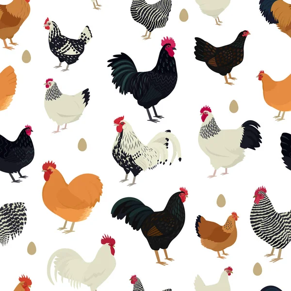 Chicken Breeds Seamless Pattern Flat Vector Illustration Farming Today Set — Stock Vector