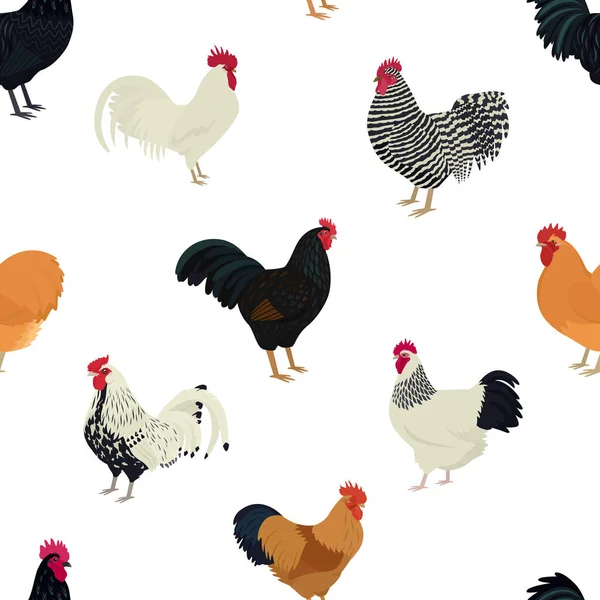 Roosters Seamless Pattern Flat Vector Illustration Farming Today Set — Stock Vector