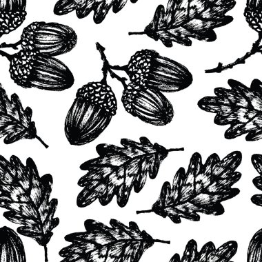 meşe palamudu arka plan