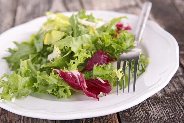 Green salad with lettuce — Stock Photo, Image