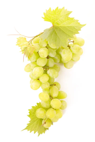 Zöld szőlő és a levelei — Stock Fotó