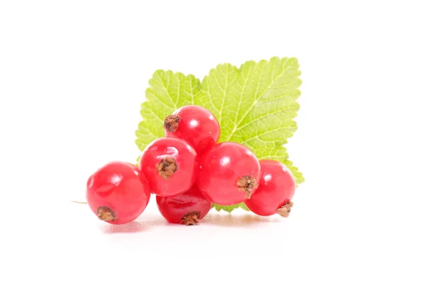 Red currants with leaf — Stock Photo, Image