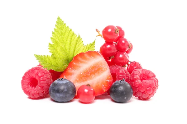 Sortiment an frischen Beeren — Stockfoto