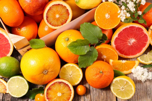 Diverse citrusfrukter — Stockfoto