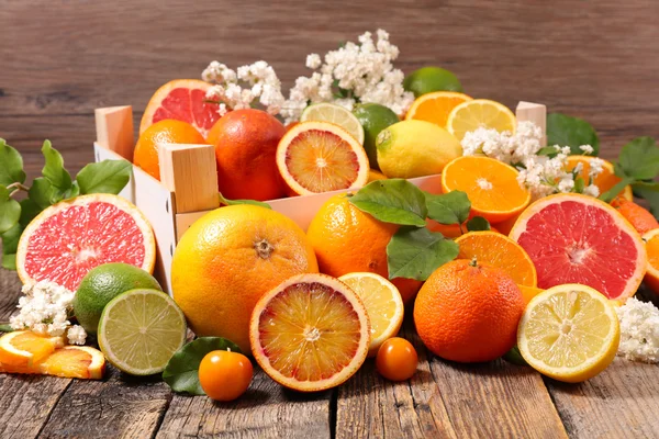 Diverse citrusfrukter — Stockfoto