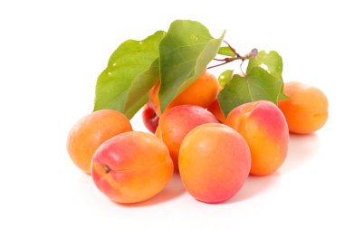 tatlı taze kayısı